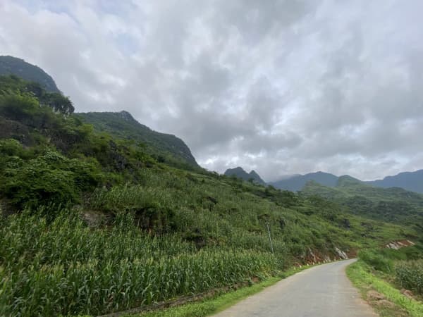 ĐẤT ĐẸP LÀM NHÀ HÀNG, KHÁCH SẠN KHÁCH DU LỊCH QUANH NĂM TẠI HÀ CÁN TỶ TUYÊN QUANG